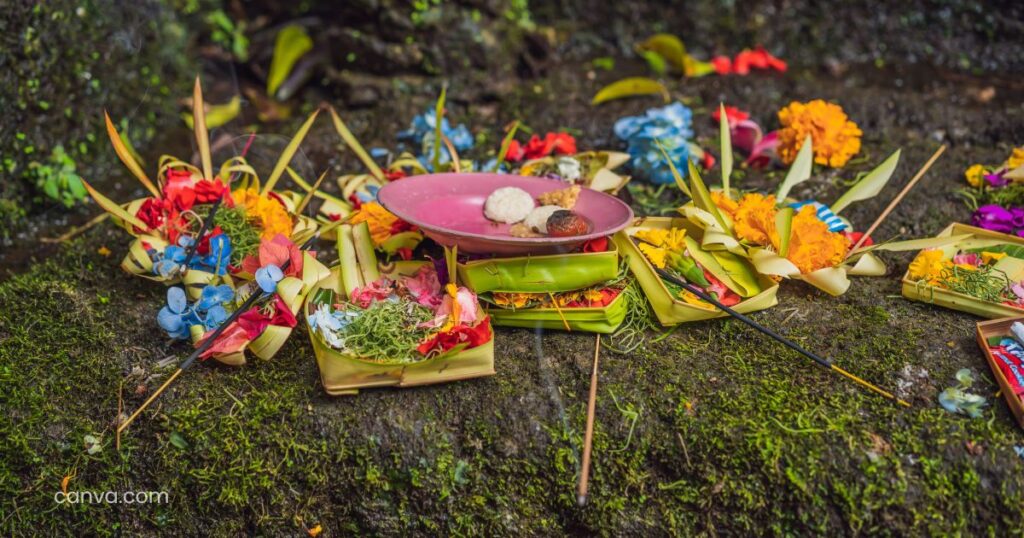 Httpswww.canva .com 5 1024x538